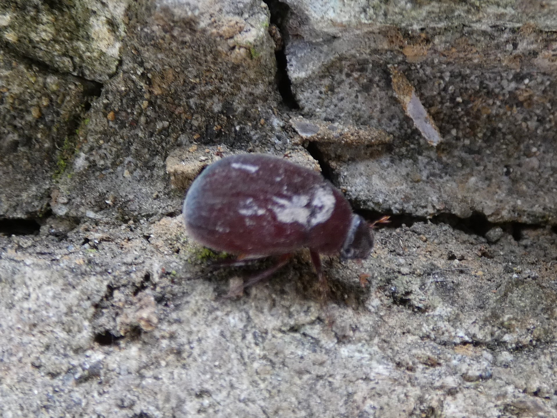 photo_3
